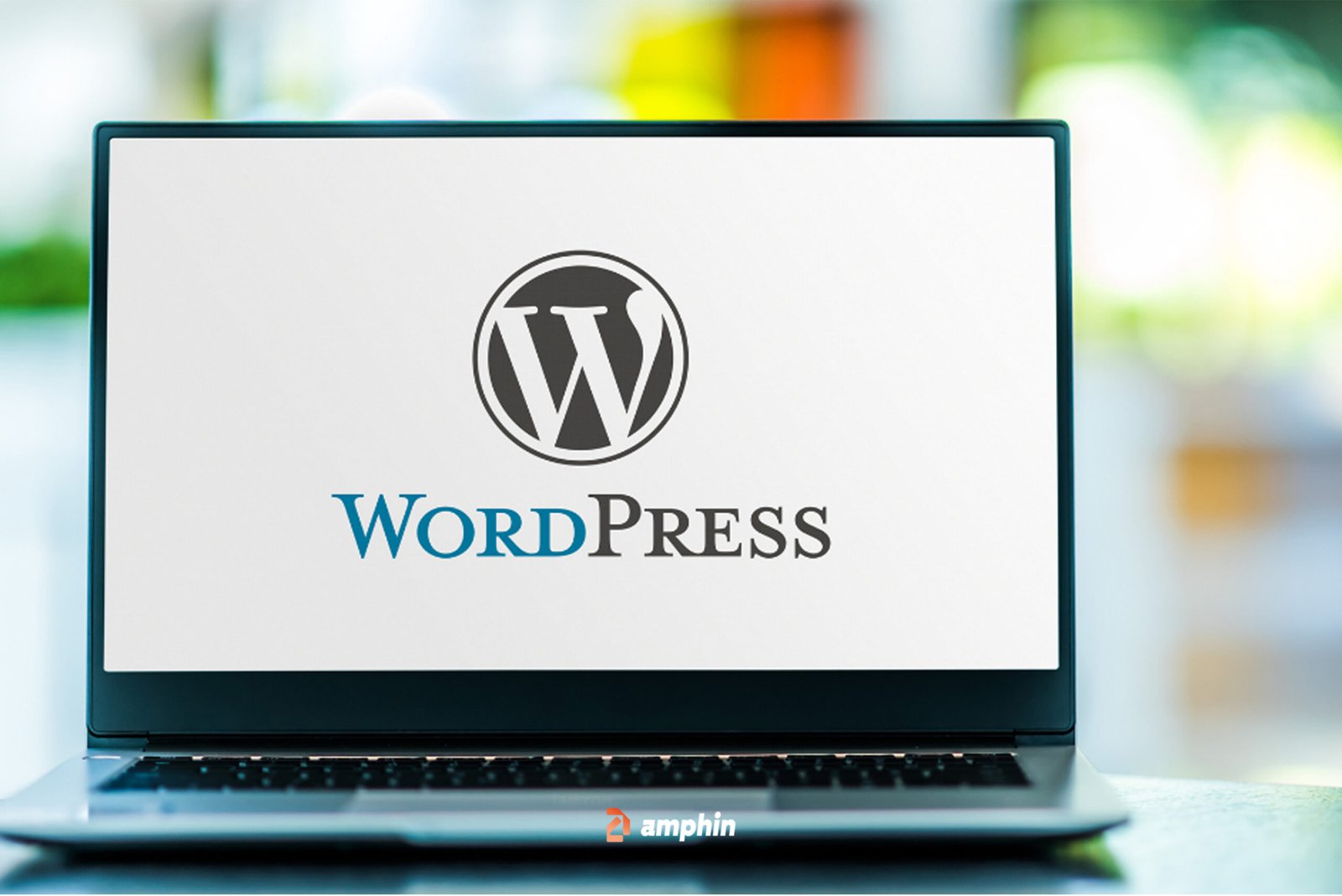 wordpress website